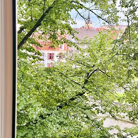 Dictumfactum Niguliste Charm Daire